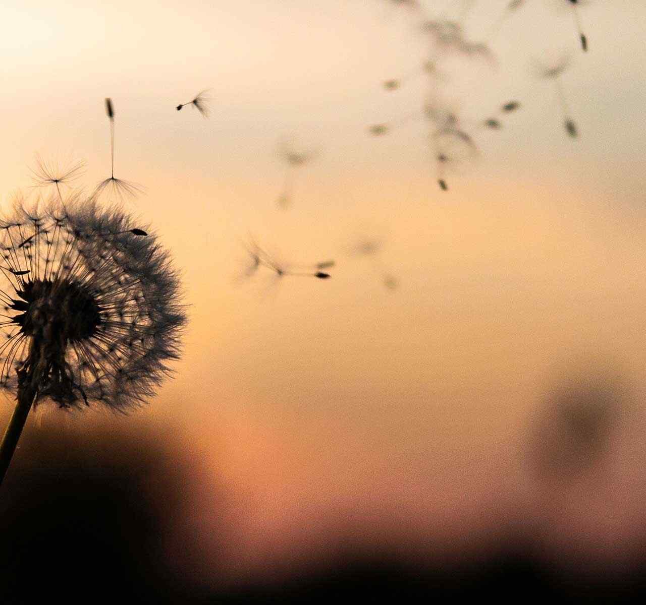 https://semioffendi.com/wp-content/uploads/2018/09/post_02-1280x1200.jpg