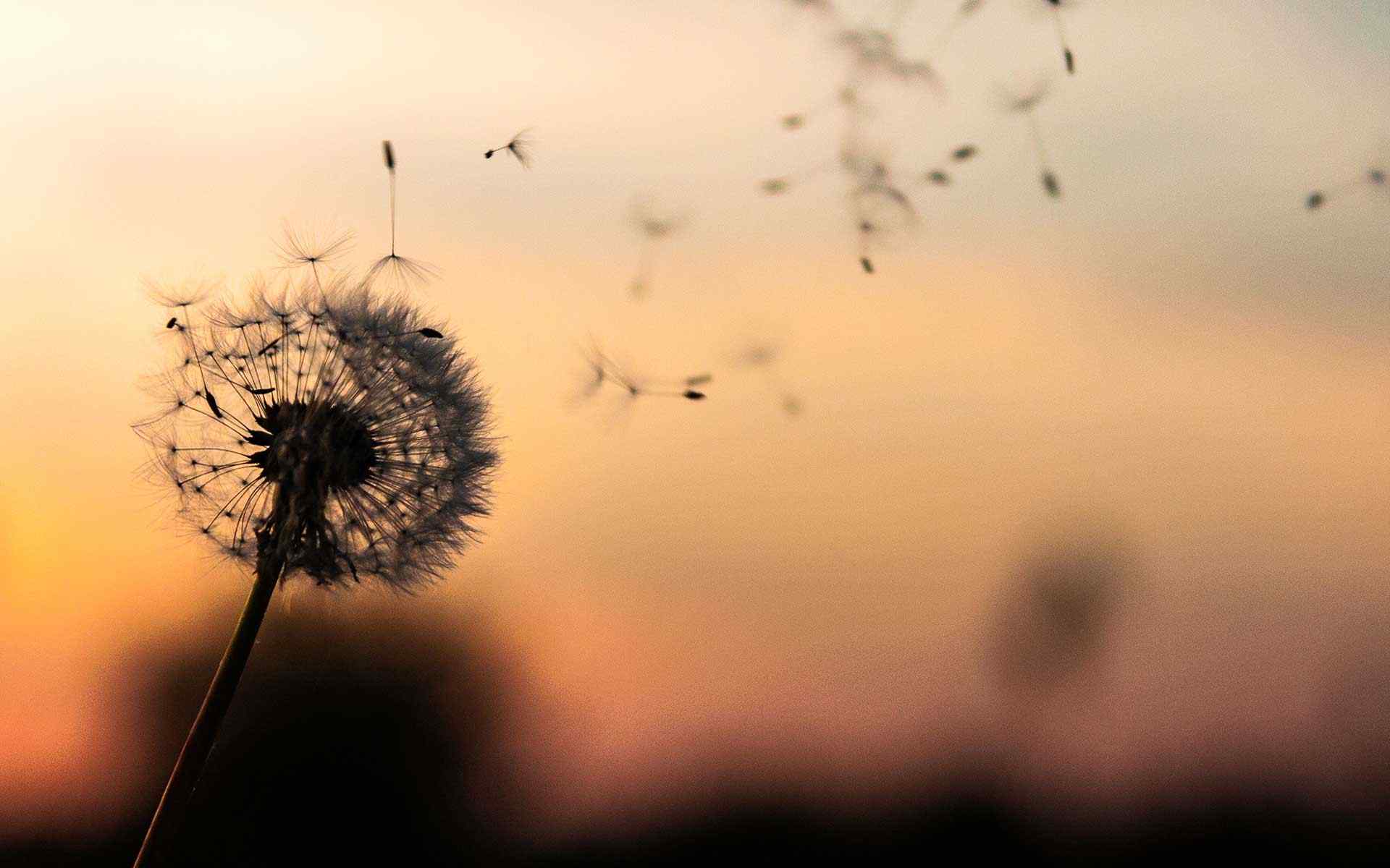 https://semioffendi.com/wp-content/uploads/2018/09/post_02.jpg